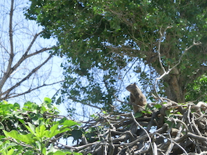 CIMG8505.JPG