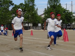 DSC00182.JPG