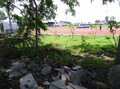 DSC00619.jpg
