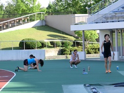 akita1334.jpg