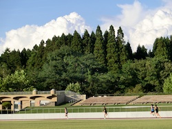 akita1362.jpg